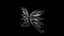 Fantasy wings in 15 versions rigged and animated