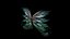 Fantasy wings in 15 versions rigged and animated