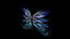 Fantasy wings in 15 versions rigged and animated