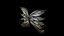 Fantasy wings in 15 versions rigged and animated