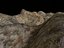 Terrain
