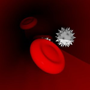 free blood cells 3d model