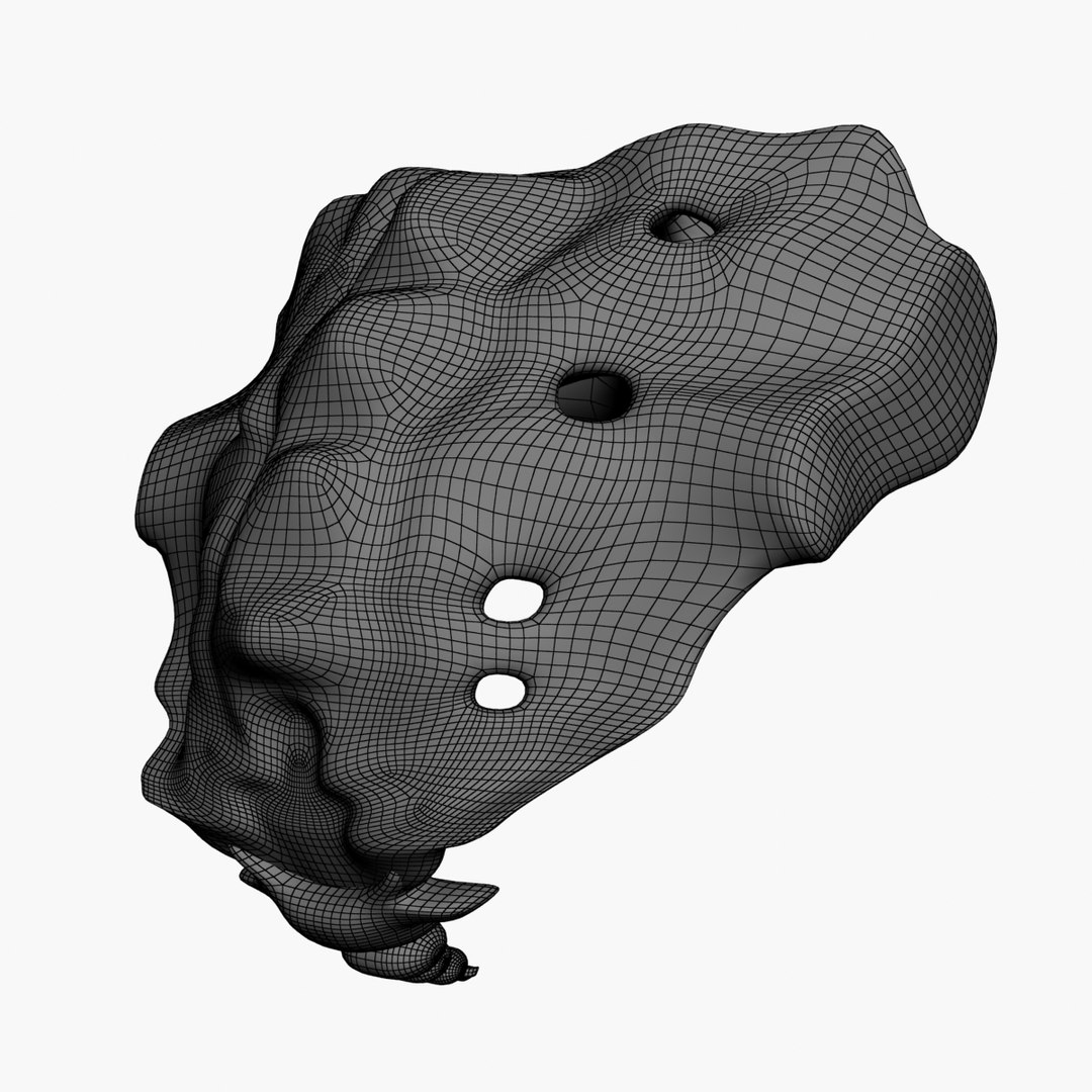 3d spine model https://p.turbosquid.com/ts-thumb/lh/Bkf0aV/1RUE5Bv9/17/jpg/1425915903/1920x1080/fit_q87/bea5455c9280c8192d12535c4088e22239c6868e/17.jpg