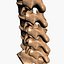Spine