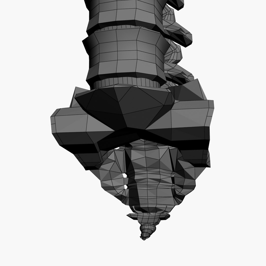3d spine model https://p.turbosquid.com/ts-thumb/lh/Bkf0aV/luaW7WQt/25/jpg/1425915903/1920x1080/fit_q87/e29e91bf42c15106c4a1c1e22a5eab01092c56d6/25.jpg