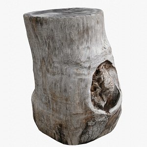 Trunk Cut