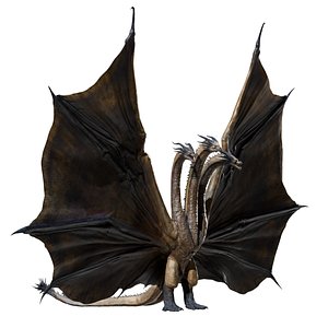 Solghidor model