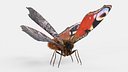 Peacock Butterfly Rigged