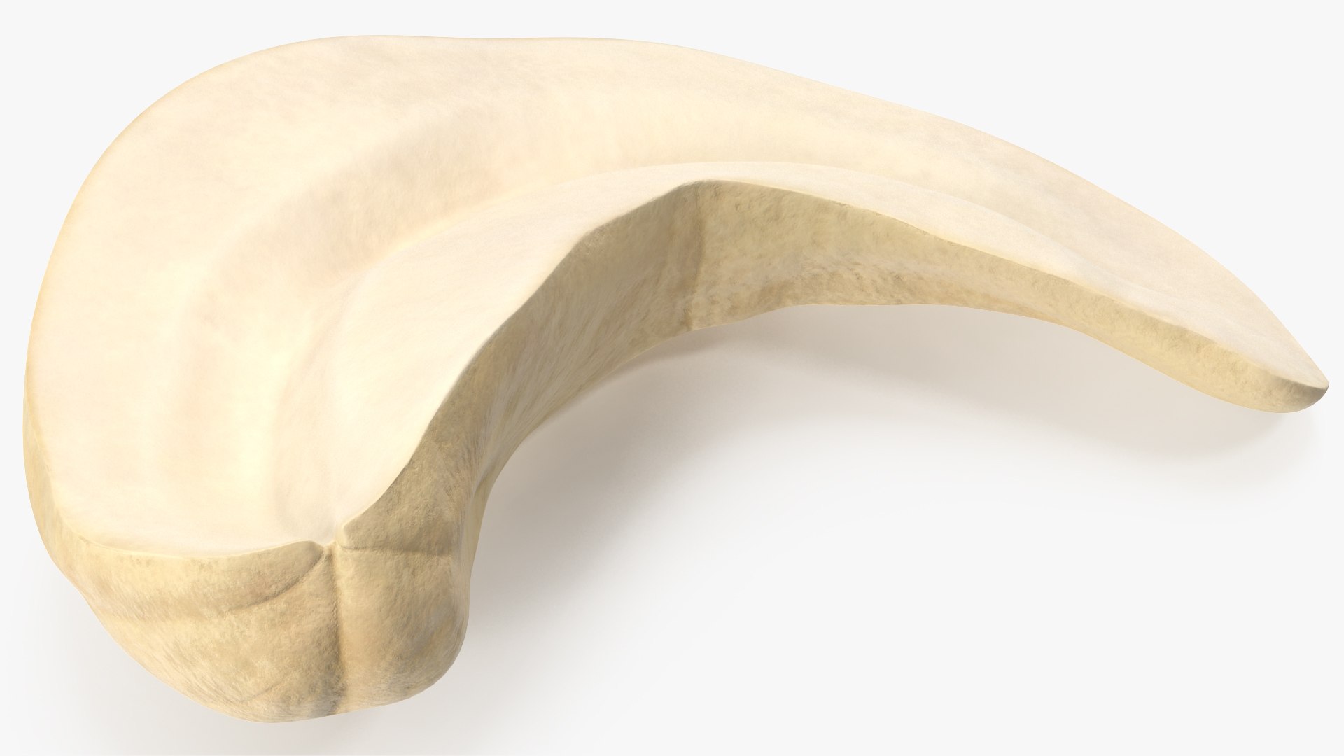 Cashews 3D https://p.turbosquid.com/ts-thumb/lh/bxVk25/0a/angles_14/jpg/1702966653/1920x1080/fit_q87/832ff9a829631d6b29c411a8f4a6cda11371a013/angles_14.jpg