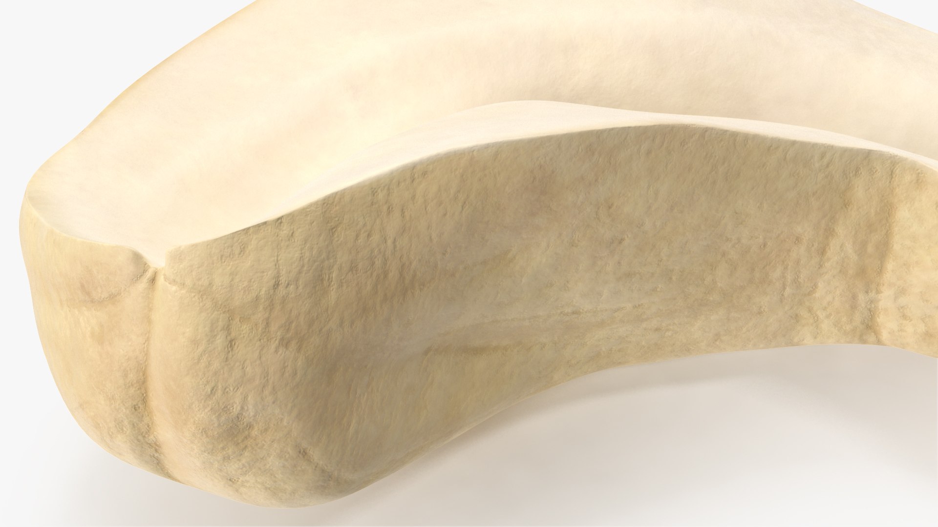 Cashews 3D https://p.turbosquid.com/ts-thumb/lh/bxVk25/B3/angles_16/jpg/1702966656/1920x1080/fit_q87/5f64d76f2c1d39e32e917080592339aa2309e0ed/angles_16.jpg