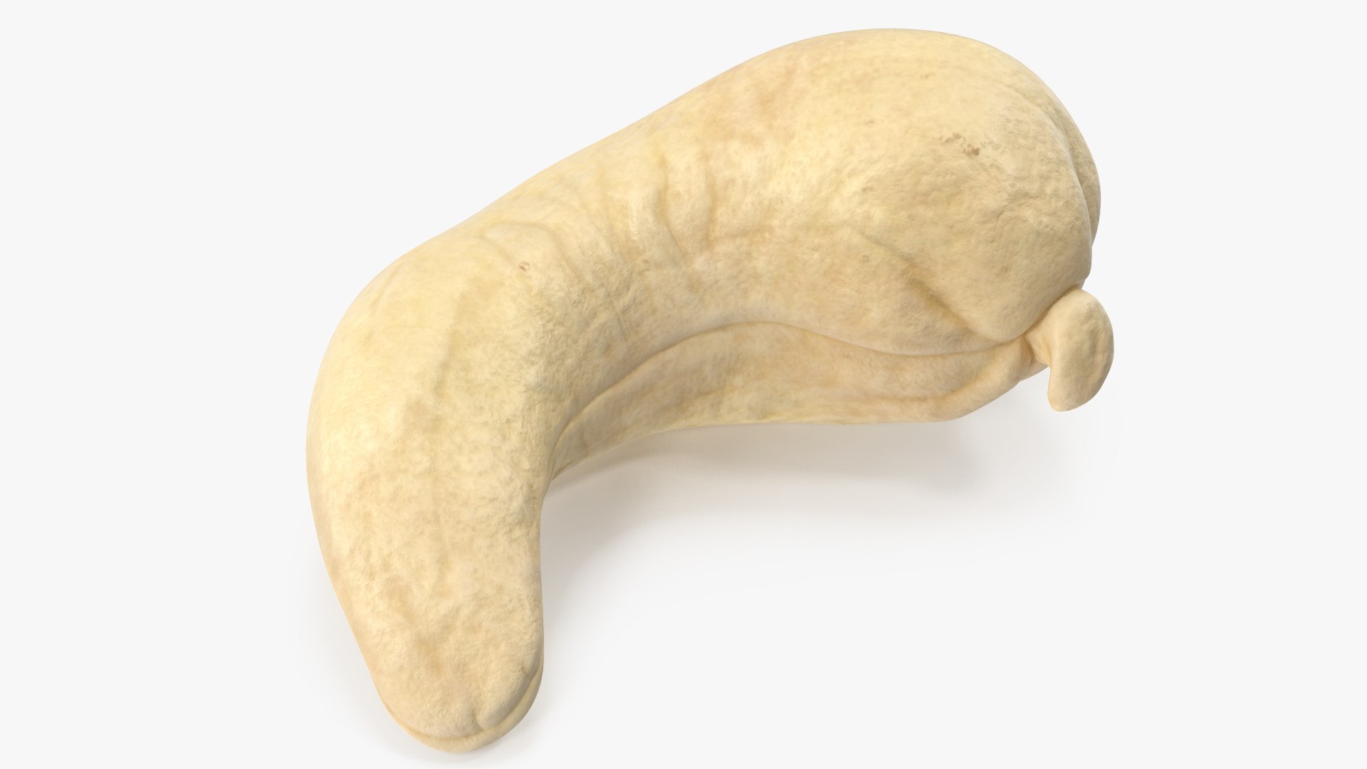Cashews 3D https://p.turbosquid.com/ts-thumb/lh/bxVk25/ad/angles_07/jpg/1702966642/1920x1080/fit_q87/d1d98e6ff6ba0a68844897ebc499be5fb3c16c1e/angles_07.jpg