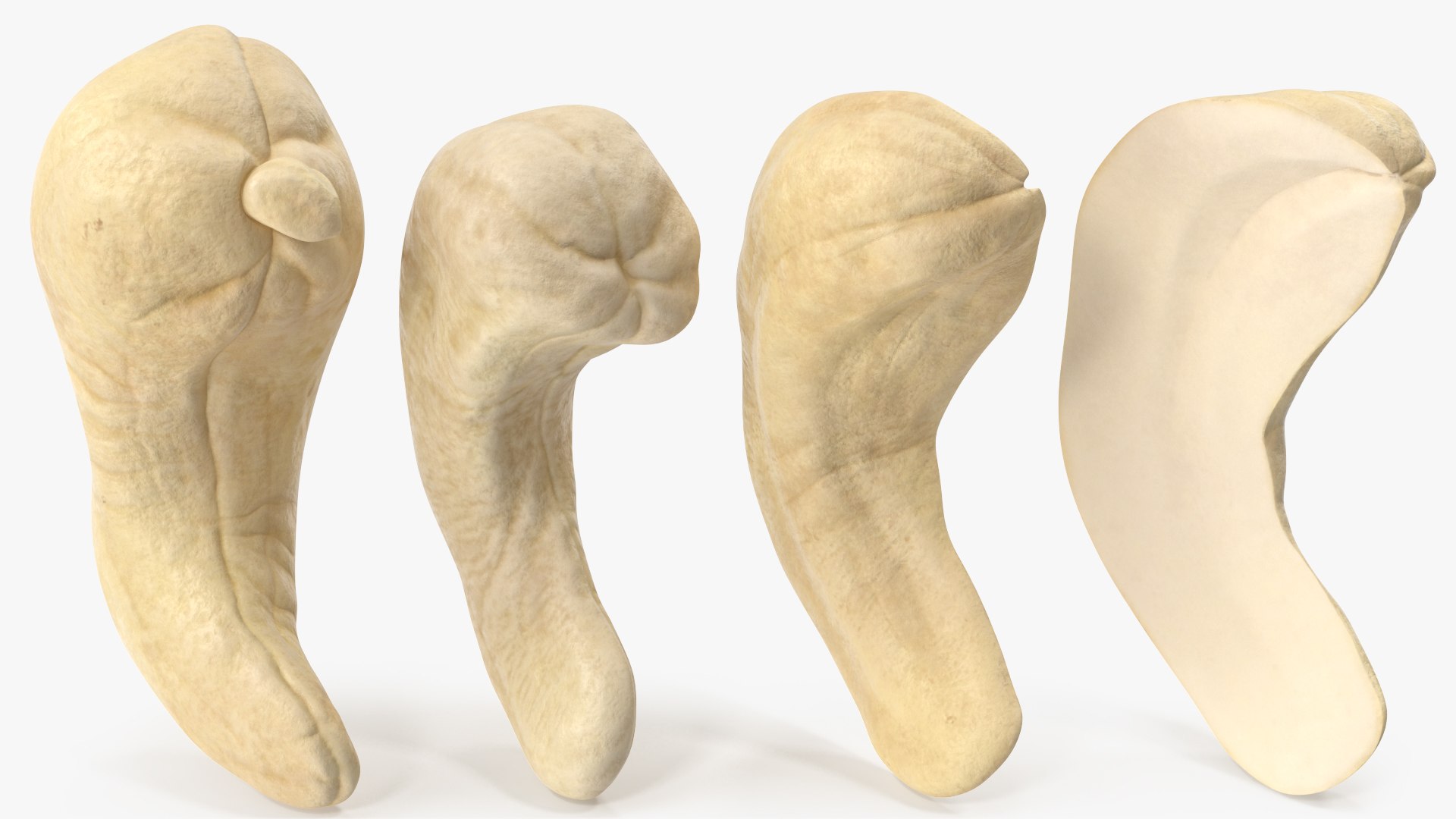 Cashews 3D https://p.turbosquid.com/ts-thumb/lh/bxVk25/sM/angles_02/jpg/1702966638/1920x1080/fit_q87/ca3b354ad3a7f44eaf99927f33f53d222d0a64c4/angles_02.jpg