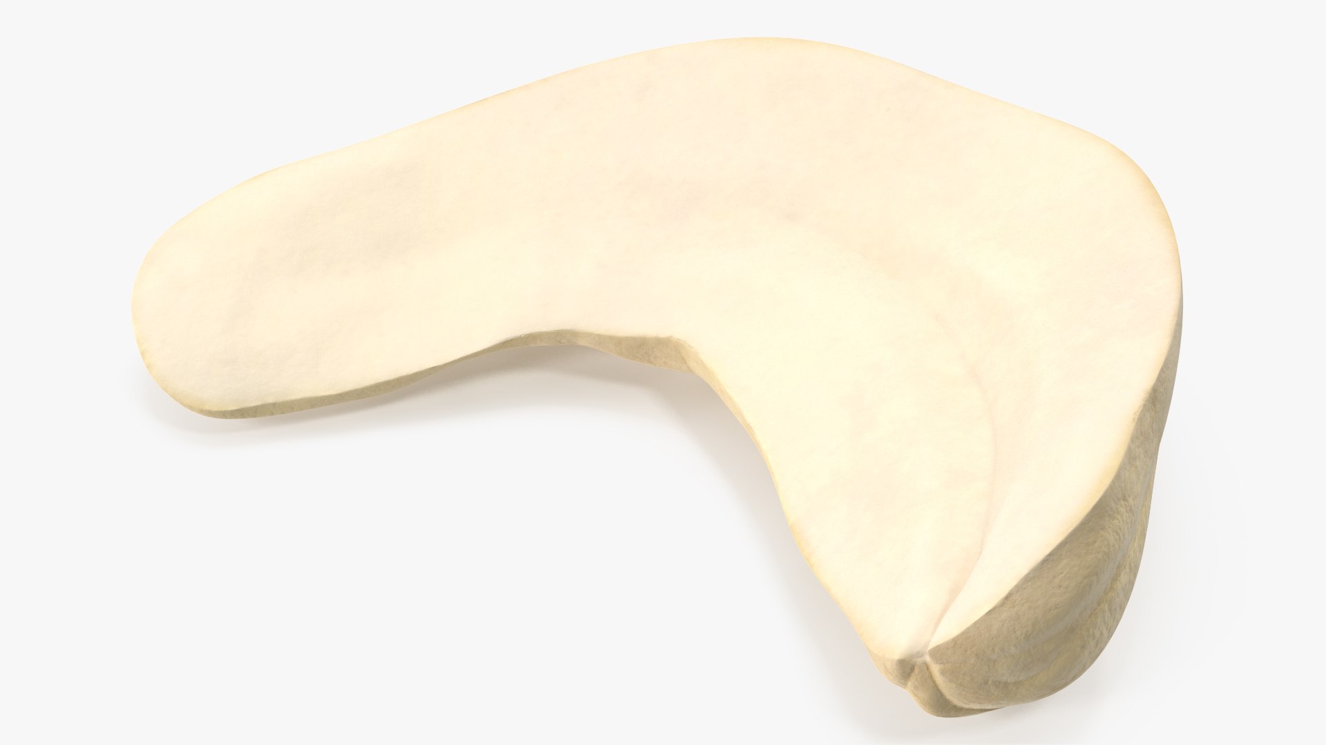 Cashews 3D https://p.turbosquid.com/ts-thumb/lh/bxVk25/xt/angles_17/jpg/1702966656/1920x1080/fit_q87/fdf3bd3158e7bf66c0780d87968eea85c44c9f2f/angles_17.jpg