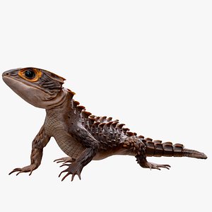 Crocodile Skink Lizard Rigged PBR