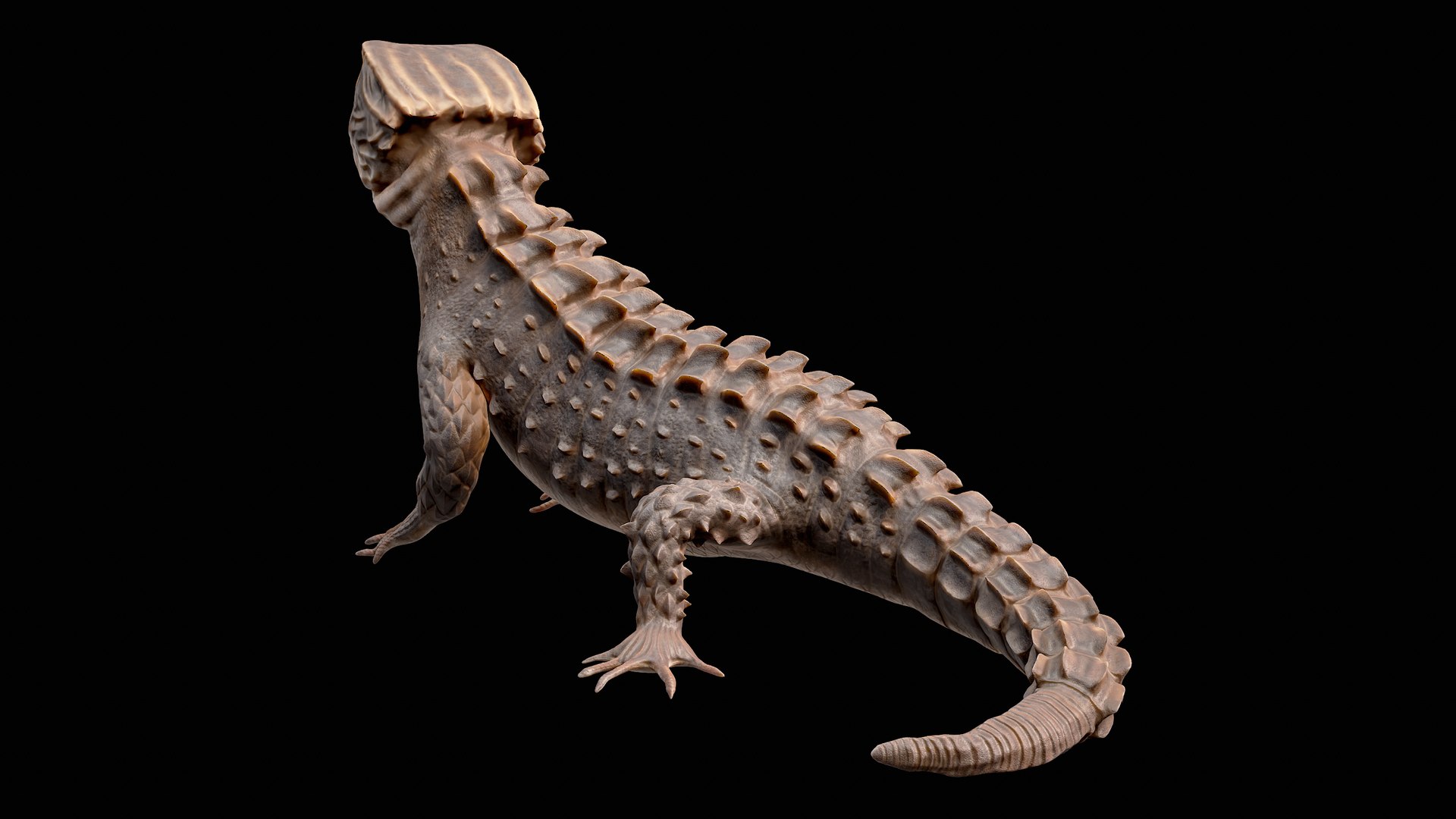Crocodile Skink Lizard Rigged PBR Model - TurboSquid 2070041