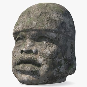 3D Olmec Colossal Head Old