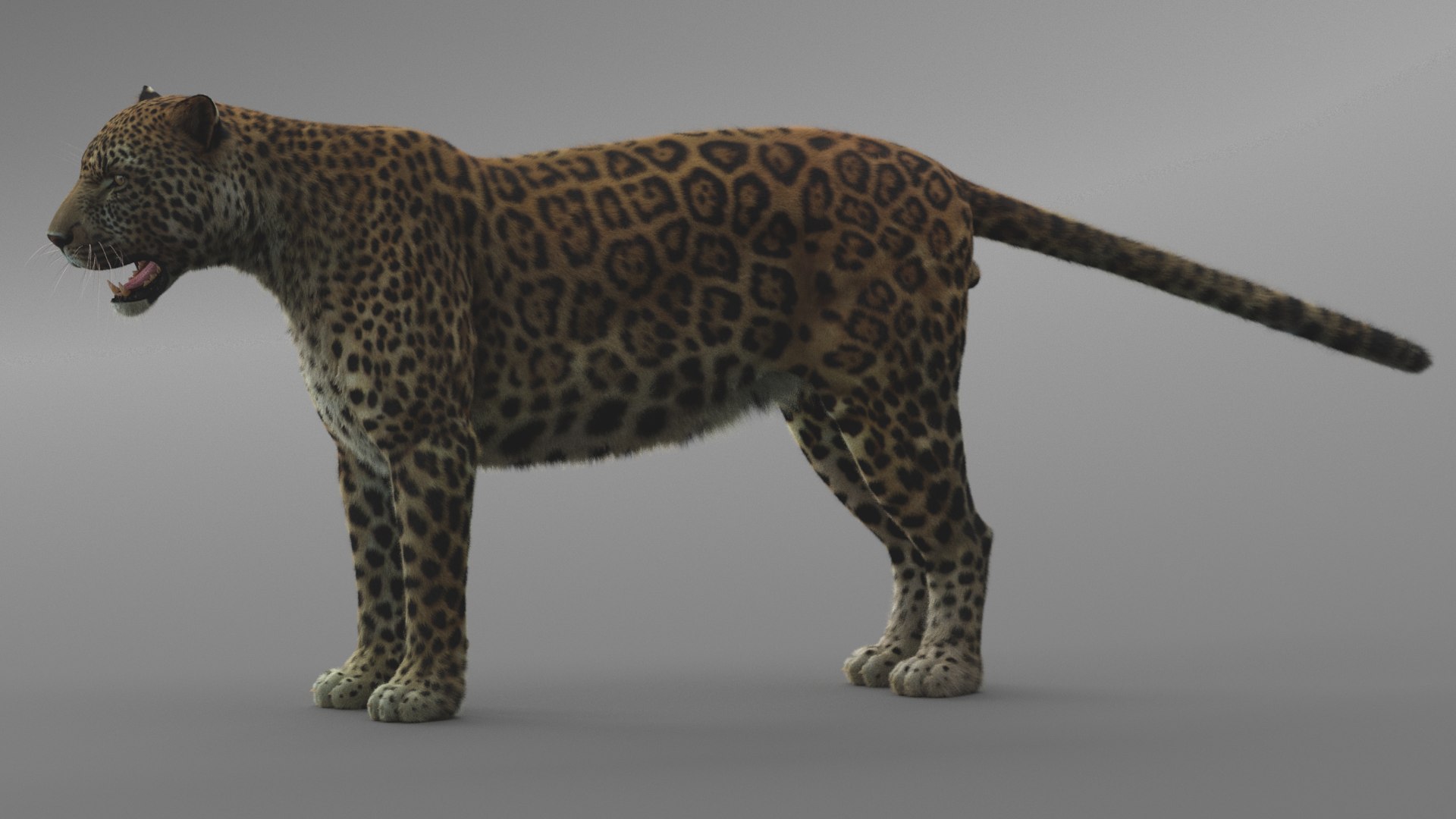 3D Modeled Leopard Model - TurboSquid 1522474