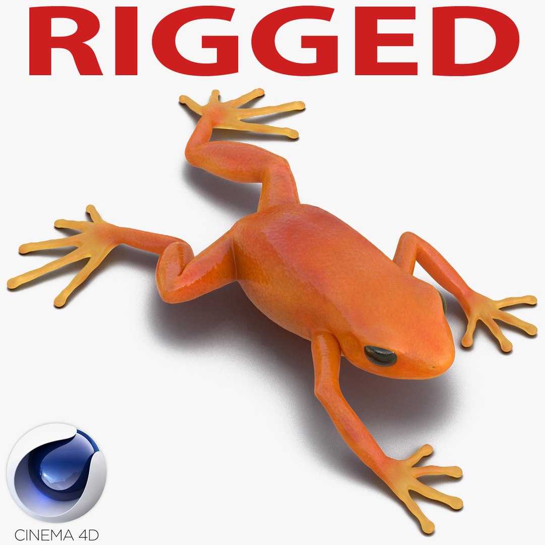 Mantella Frog Rigged for Cinema 4D 3D model preview