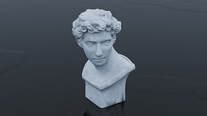 Man head Bust 3D model