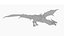 Drachen