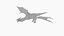 Drachen