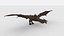 Drachen