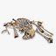 Old Human Bones PBR