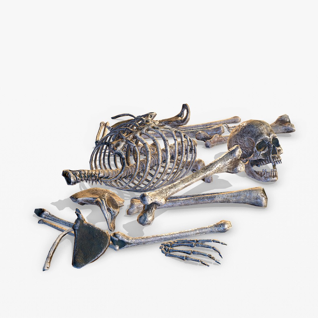 3D old human bones pbr model https://p.turbosquid.com/ts-thumb/li/QRIDlh/WMmMnavJ/bone_03/jpg/1537120818/1920x1080/fit_q87/b2a7915144ed009dc1098b1cd879942429cc4be8/bone_03.jpg