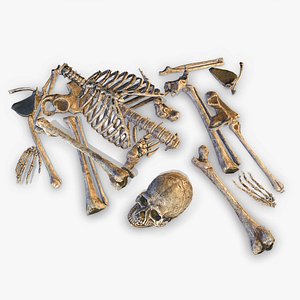 3D old human bones pbr model