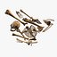 Old Human Bones PBR