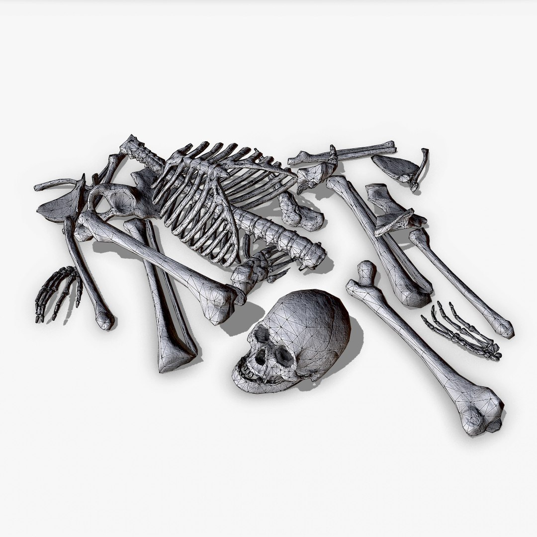 3D old human bones pbr model https://p.turbosquid.com/ts-thumb/li/QRIDlh/sv1xWUNp/bone_08/jpg/1537120818/1920x1080/fit_q87/5e4d776a7045e75dc9c2ae71aeb363111abfc712/bone_08.jpg