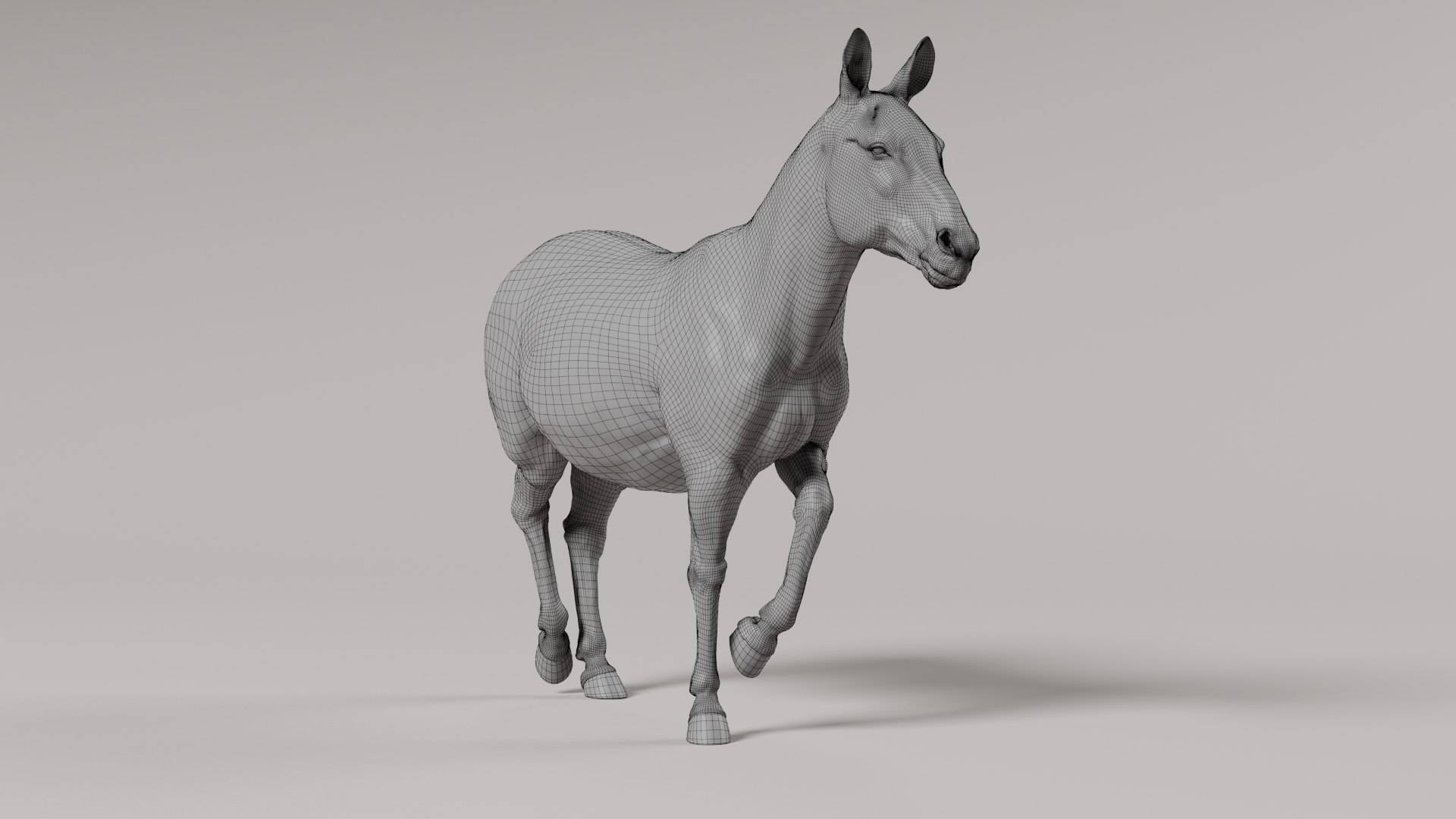 3D Zebra model https://p.turbosquid.com/ts-thumb/li/QdLax8/G6/signature_wireframe/png/1773090872/1920x1080/fit_q87/4a4129d7d2c36f8b3edc8d337f0dcc993d662870/signature_wireframe.jpg