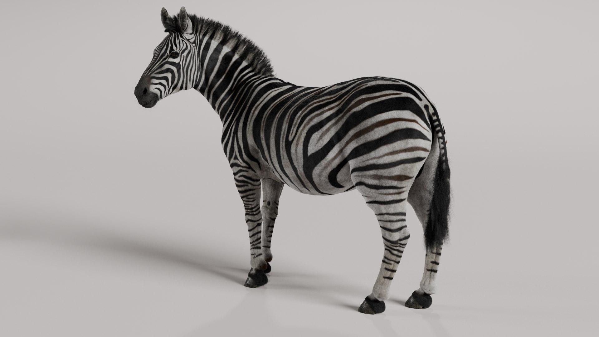 3D Zebra model https://p.turbosquid.com/ts-thumb/li/QdLax8/fx/zebra_poses_0080/png/1773090334/1920x1080/fit_q87/c2026f25f379f850f09f0eda7e683c211f7a3779/zebra_poses_0080.jpg