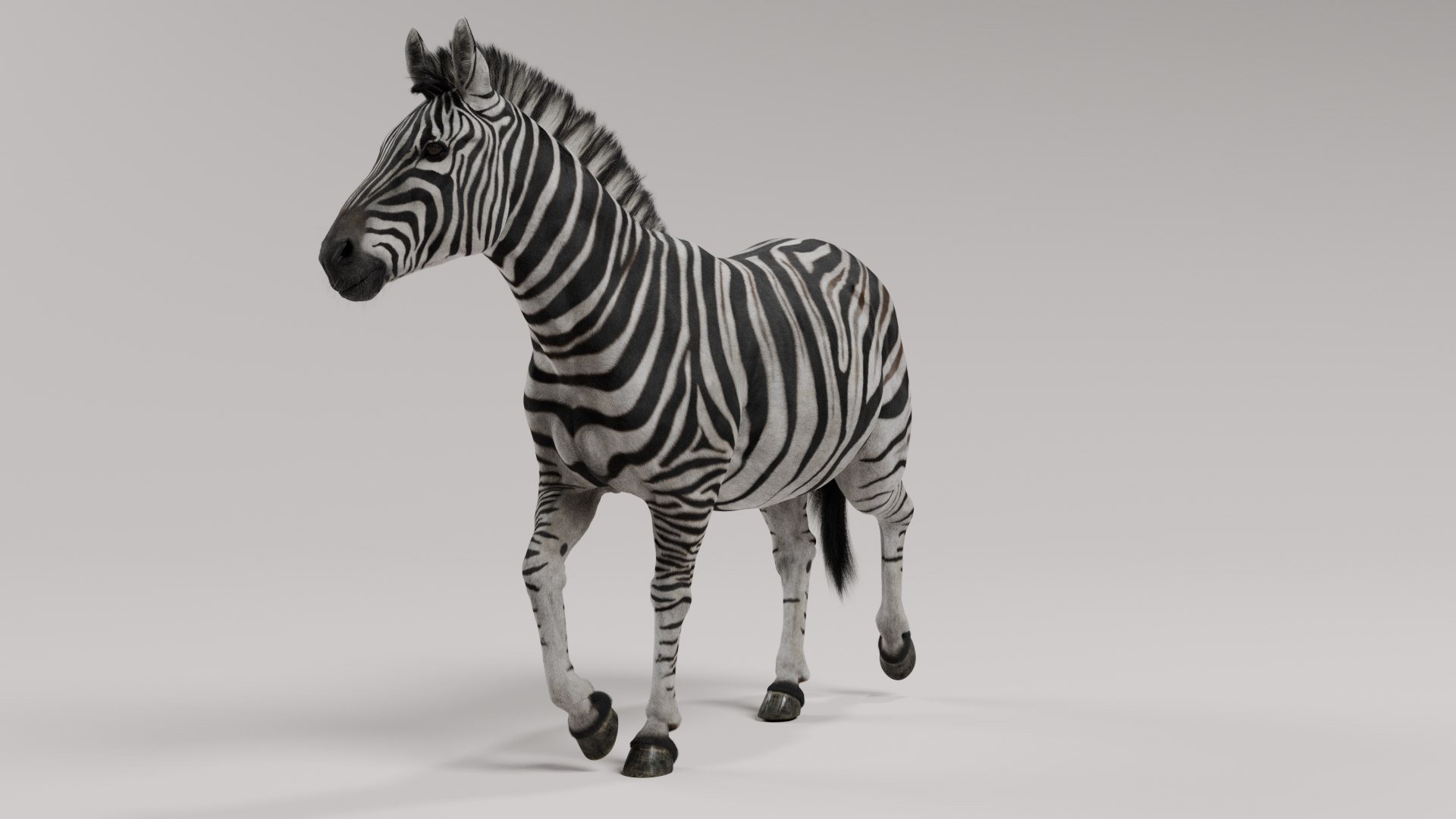 3D Zebra model https://p.turbosquid.com/ts-thumb/li/QdLax8/lS/zebra_poses_0020/png/1773090331/1920x1080/fit_q87/1f36b5798df05efd08517eedcc85824c7be9fb75/zebra_poses_0020.jpg