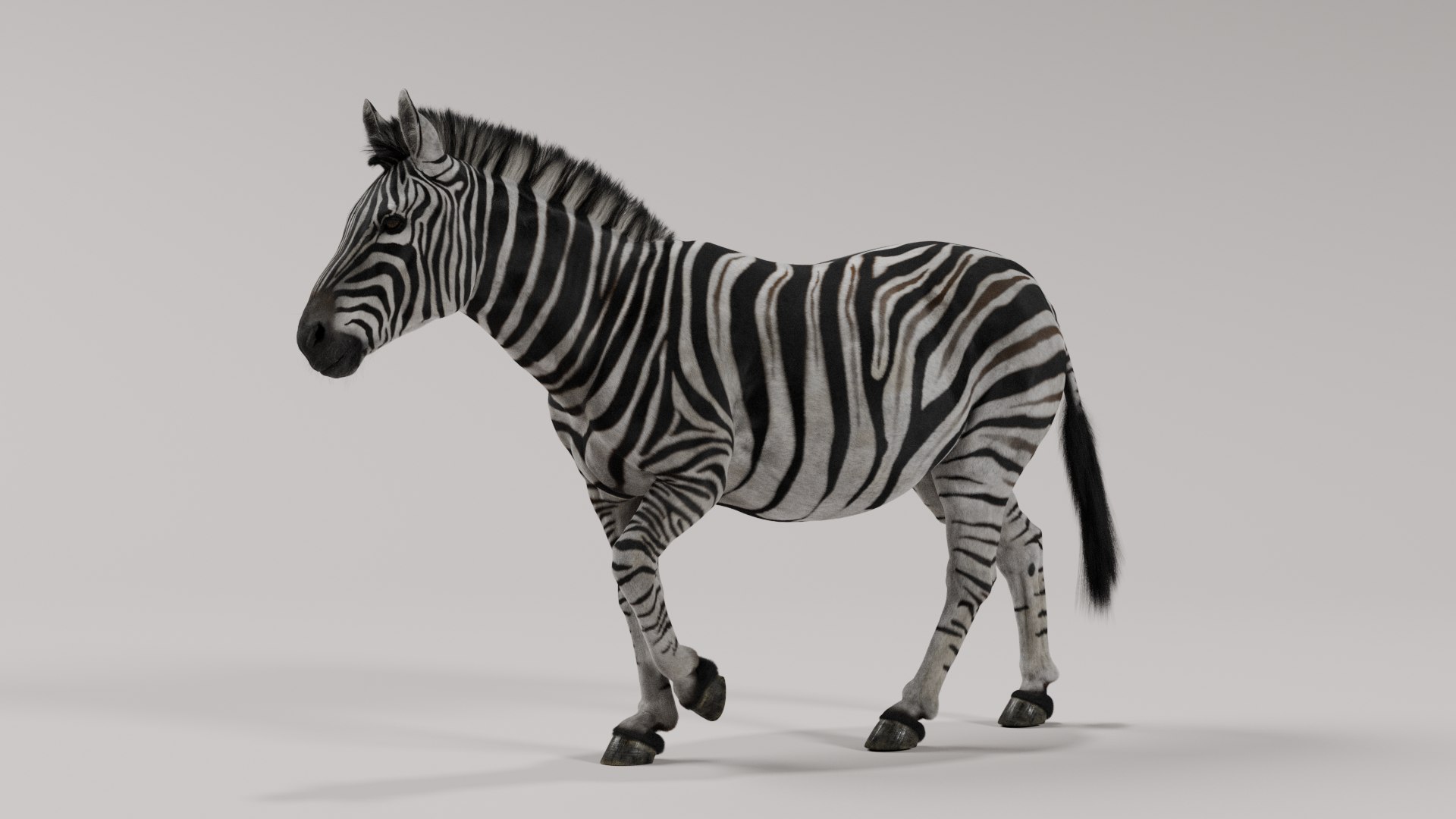 3D Zebra model https://p.turbosquid.com/ts-thumb/li/QdLax8/mq/zebra_poses_0000/png/1773090335/1920x1080/fit_q87/731a6fb48ed24a687f4467b04ec68bf0ae82935a/zebra_poses_0000.jpg