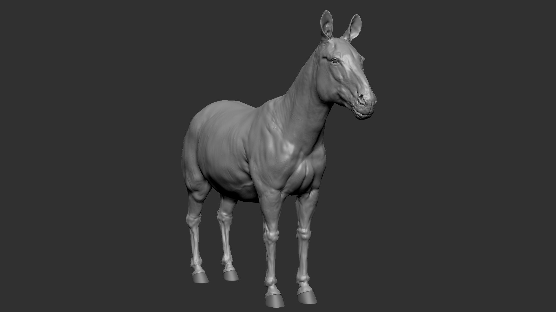 3D Zebra model https://p.turbosquid.com/ts-thumb/li/QdLax8/oj/zbrush_base/jpg/1773090684/1920x1080/fit_q87/48a2640840adc074e6117ba68724da89c8460cc3/zbrush_base.jpg