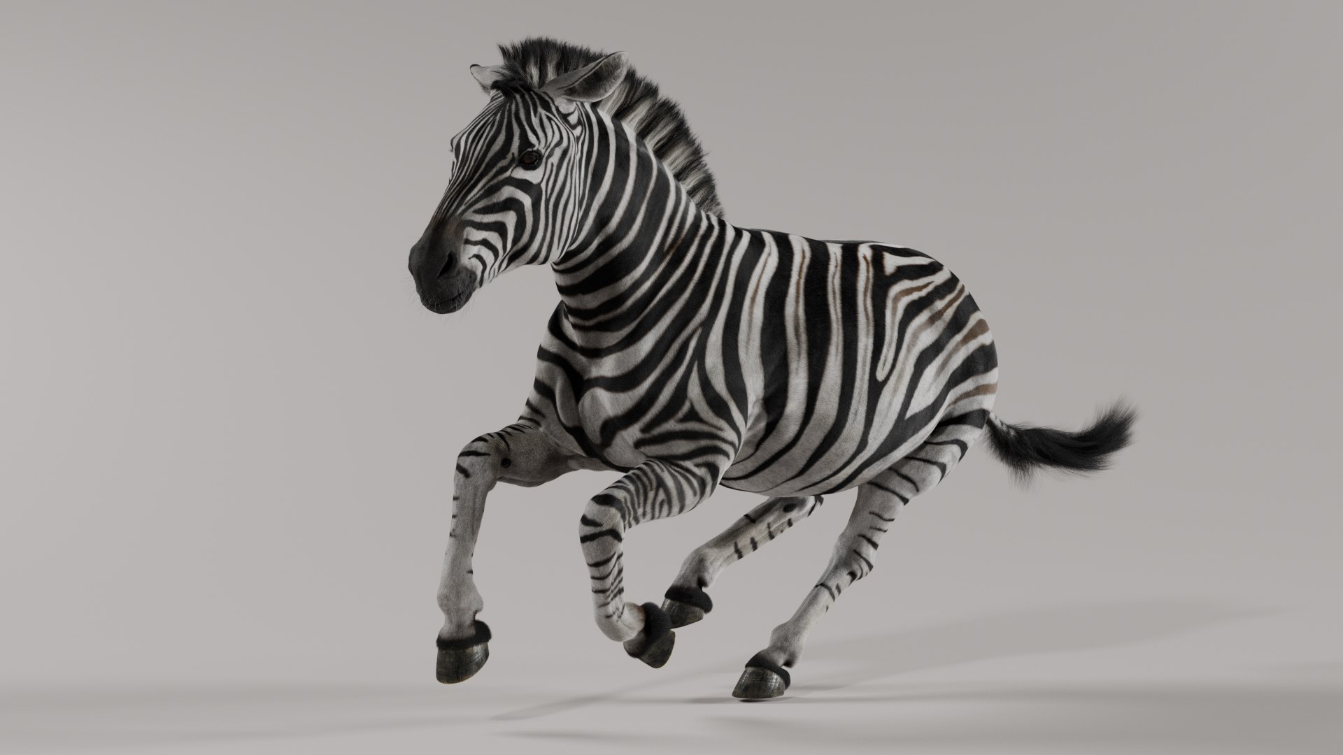 3D Zebra model https://p.turbosquid.com/ts-thumb/li/QdLax8/qI/zebra_poses_0060/png/1773090332/1920x1080/fit_q87/83eaa27b0f8ba1e92de01d2cbd9d0c6d00c7fca3/zebra_poses_0060.jpg