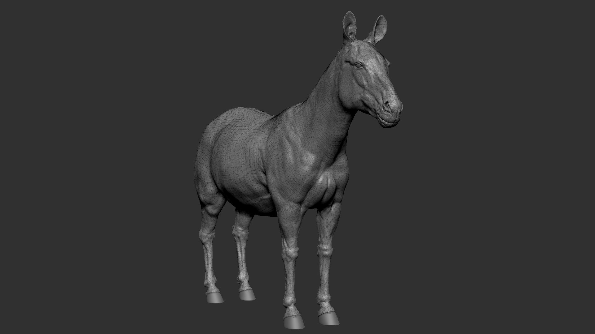 3D Zebra model https://p.turbosquid.com/ts-thumb/li/QdLax8/tF/zbrush_base_wireframe/jpg/1773090685/1920x1080/fit_q87/e479f40af7c1add1b01f54c0253e6ea1a15a88e7/zbrush_base_wireframe.jpg