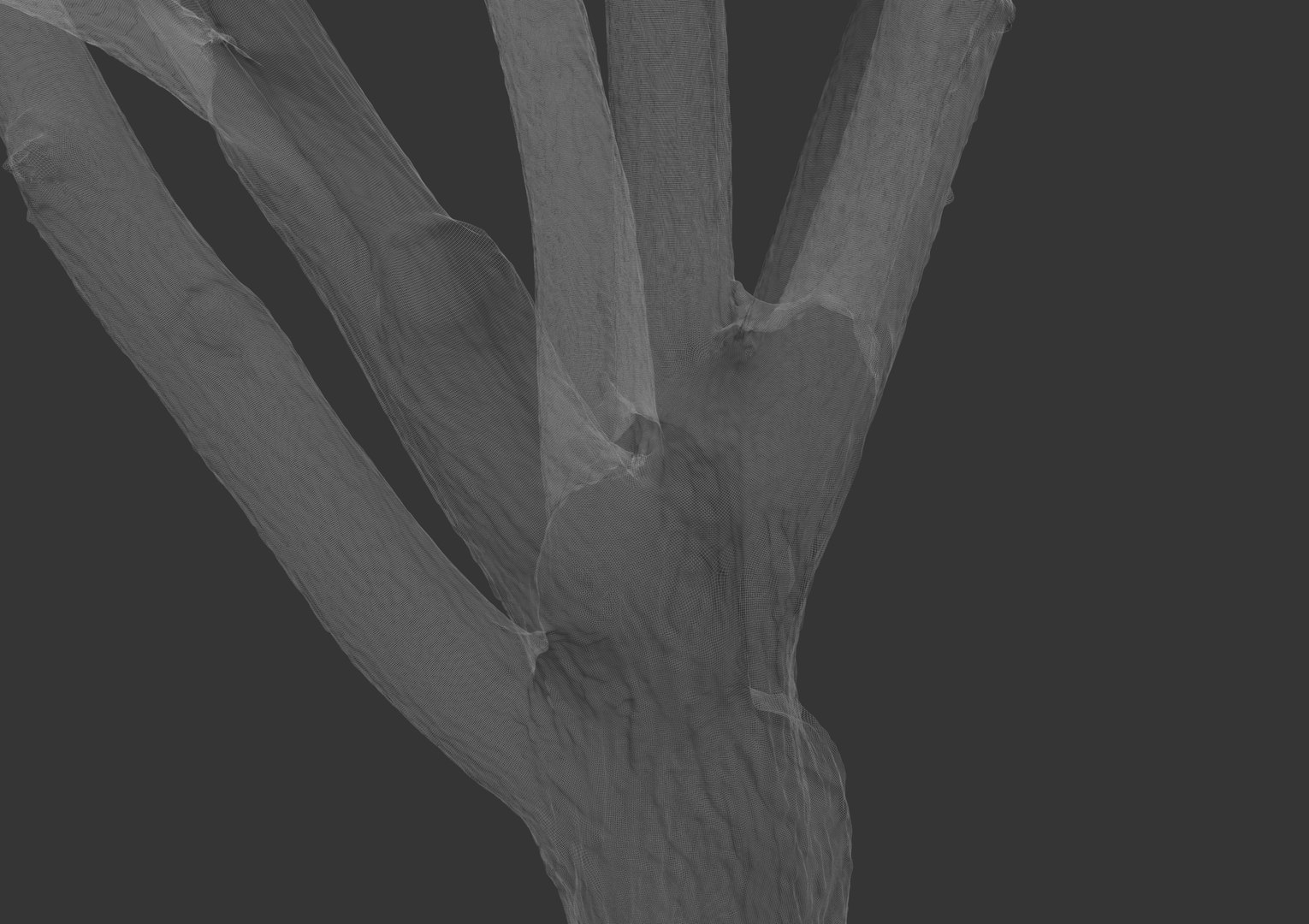 3d Oak Raw Scan
