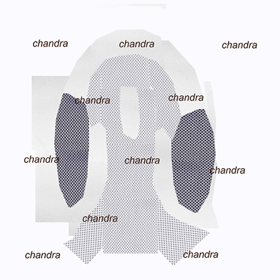 3D Model Chandra Character Animation - TurboSquid 1325376