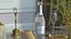 Clio Statuette and Champagne on Table