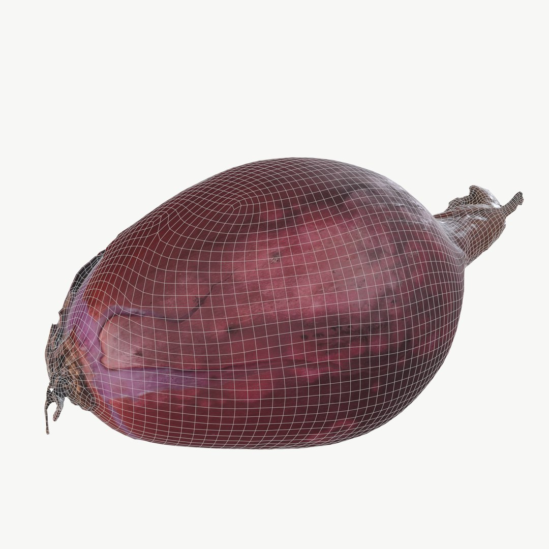 3D Model High Quality Scan Onion - 3 - TurboSquid 2191524