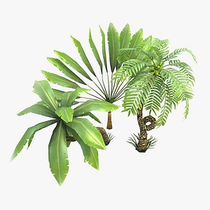 3d model toon palms