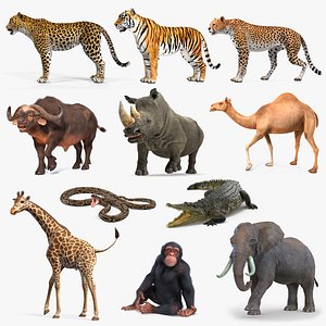 Rigged African Animals Collection 8