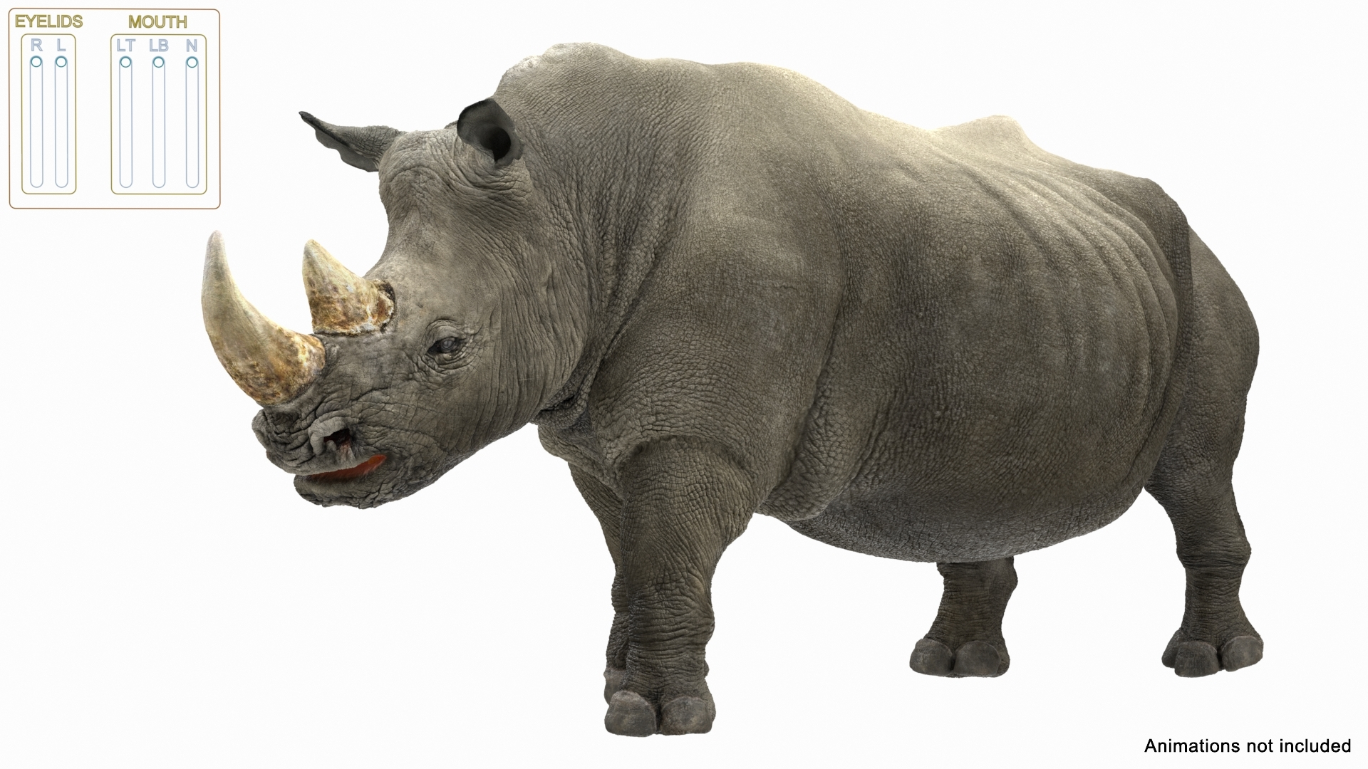 rigged african animals 8 model https://p.turbosquid.com/ts-thumb/lj/5WYMw9/Qx/rhino_rigged_362/jpg/1611548721/1920x1080/turn_fit_q99/6c18b89305d84a5f5780a836b400129427f2d2df/rhino_rigged_362-1.jpg