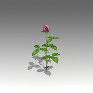 TRIFOLIUM_Set_1409