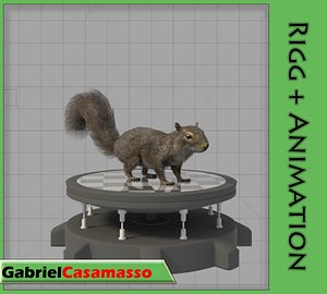 Squirrel