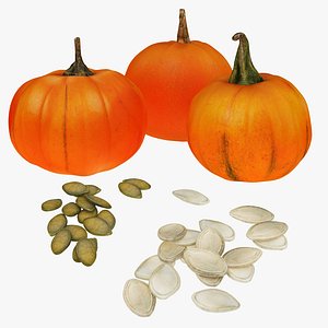 pumpkin seeds 3D model