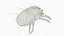 Parasite House Dust Mite model