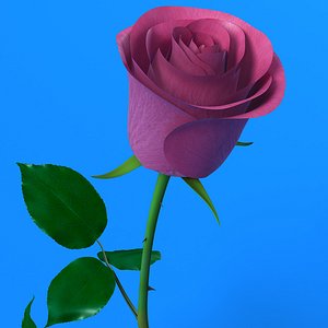 rose flower 3d max